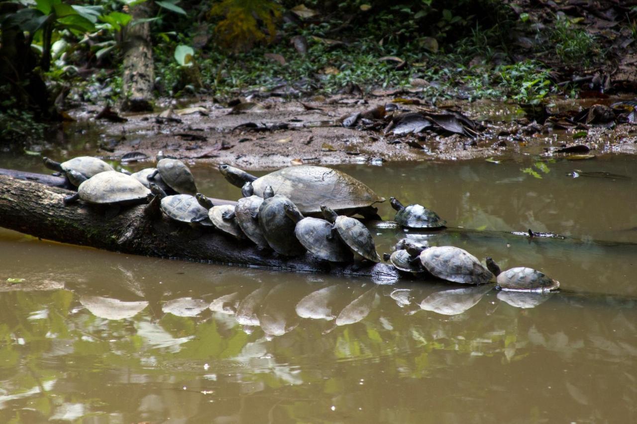 Grand Selva Lodge & Tours Тена Экстерьер фото