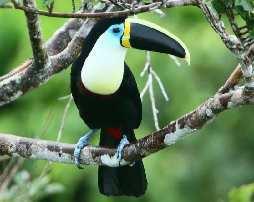 Grand Selva Lodge & Tours Тена Экстерьер фото
