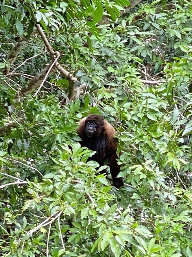 Grand Selva Lodge & Tours Тена Экстерьер фото