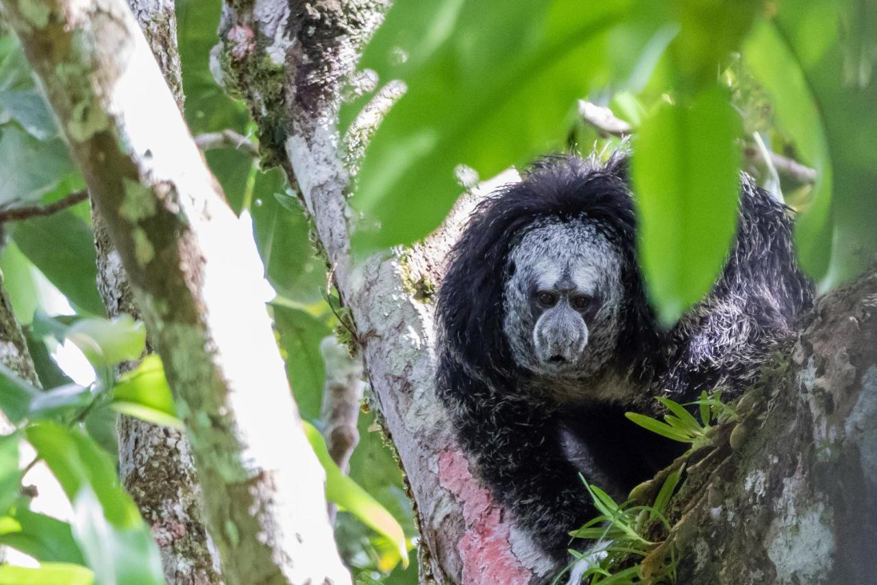 Grand Selva Lodge & Tours Тена Экстерьер фото