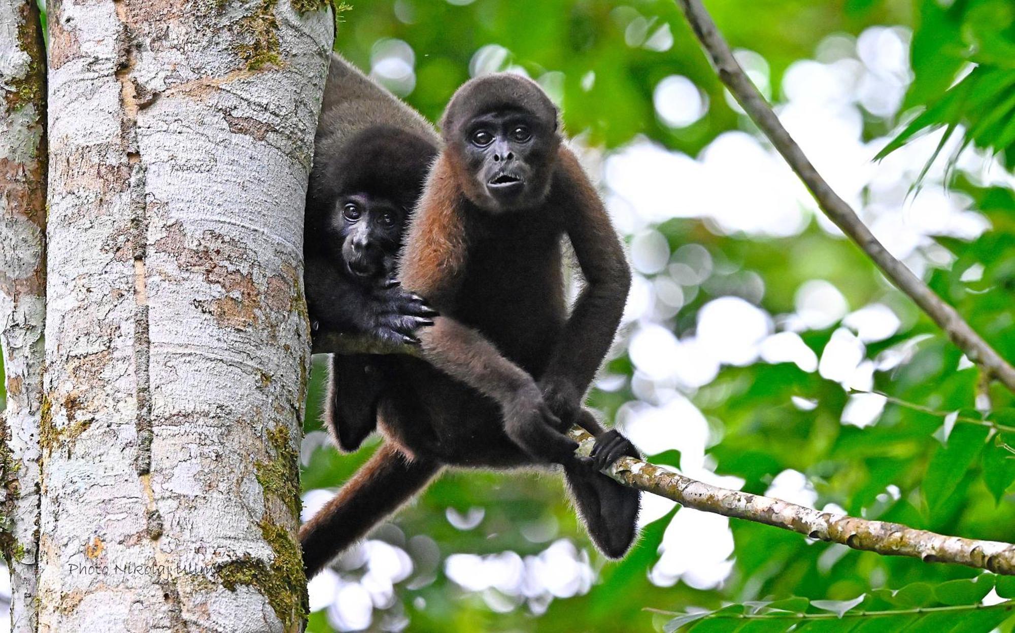 Grand Selva Lodge & Tours Тена Экстерьер фото